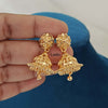 Gold Look – Jhumki