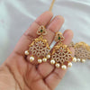 Gold alike Choker Necklace with Earrings (smaller version)