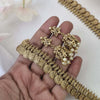 A Golden Coin for Every Memory – 68 coins