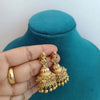 Parampara Lakshmi Jhumka