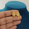 Graceful-Micro Gold Plated Earrings