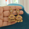 Floral with Peacock Jhumki Earrings