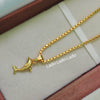 Dolphin - 18 inch Micro Gold Plated Dollar Chain
